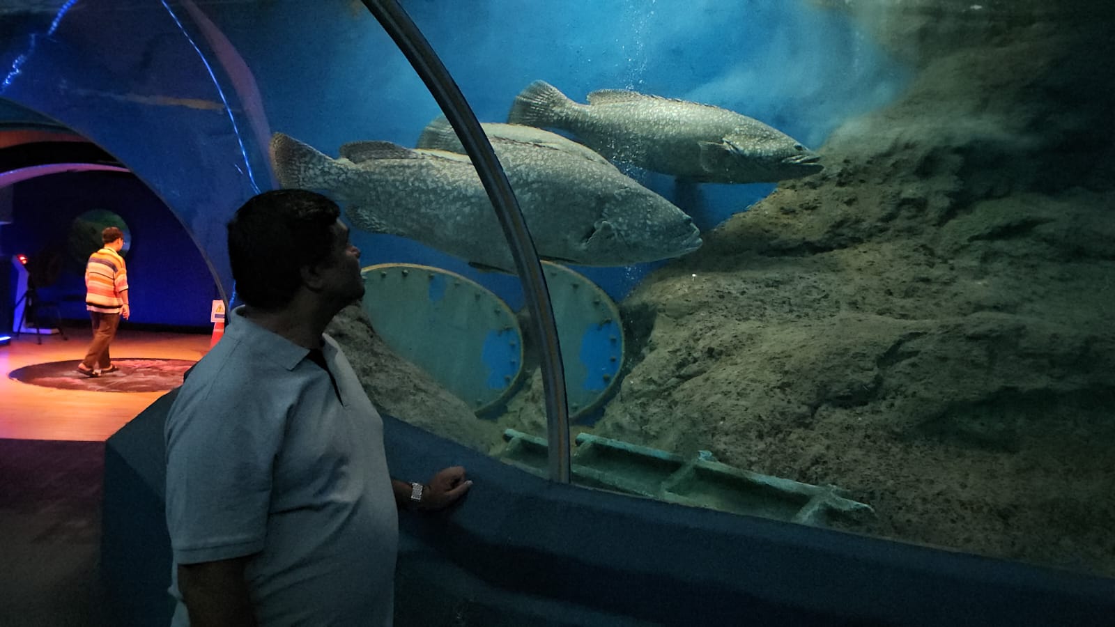 UNDERWATER WORLD PATTAYA WITH ENTRY TICKET (PRIVATE PICK UP AND DROP PATTAYA HOTEL)